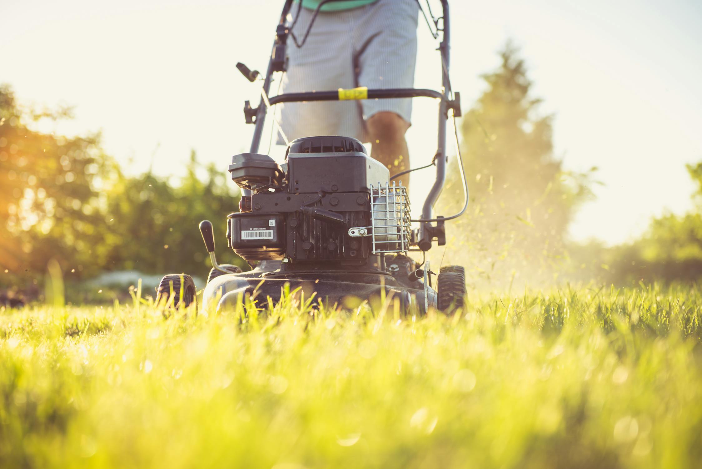 How Lawn Care Companies Can Get More Online Reviews