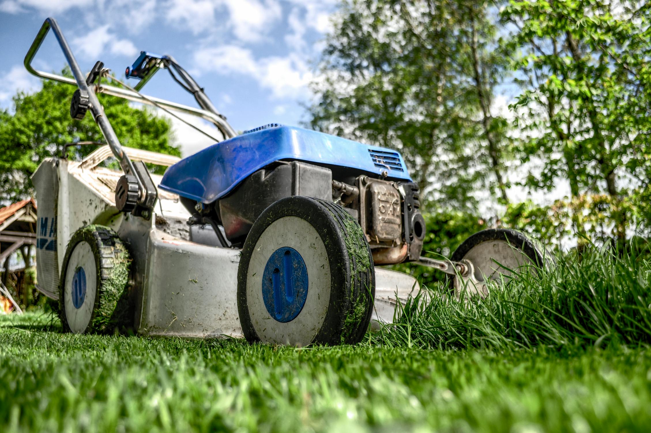 Lawn Care Pricing Pages: What to Show (and What Not To)