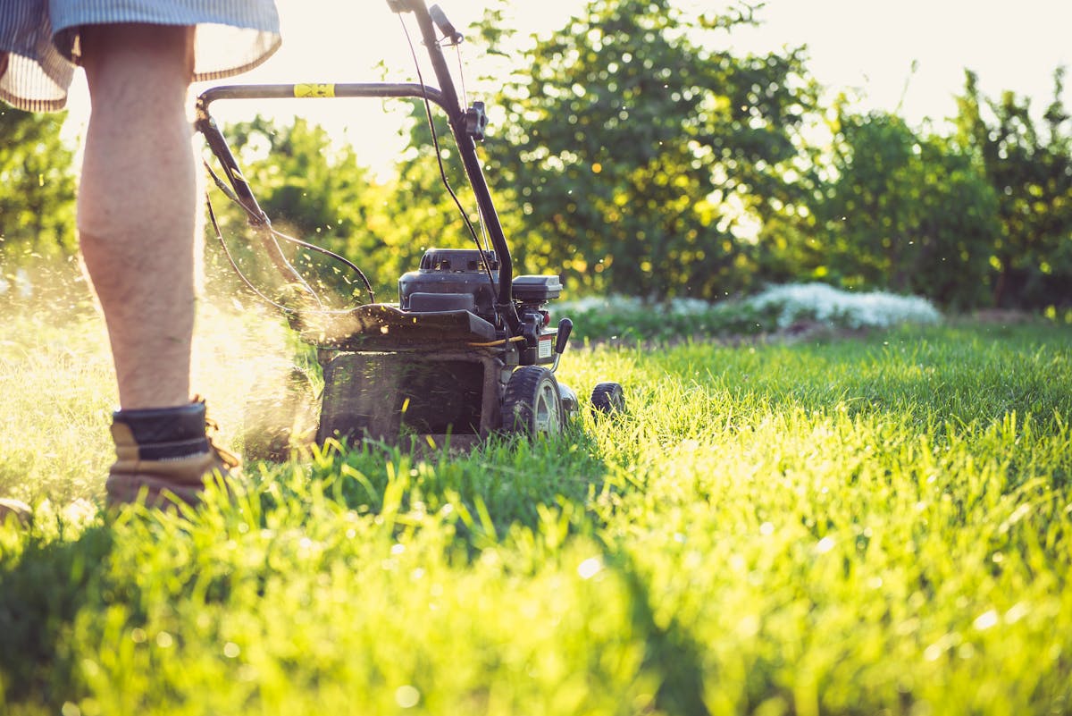 How to Market a Lawn Care Business in Your First Year