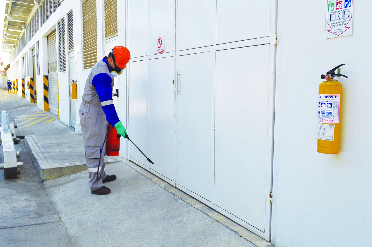 Seasonal Pest Content Strategy: What to Publish and When